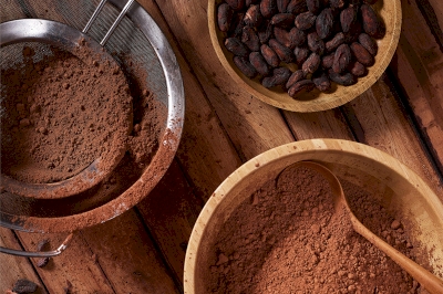 Menyediakan bubuk cokelat berkualitas terbaik
